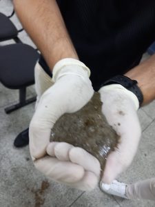 WhatsApp Image 2024-10-31 at 16.30.00 (1)