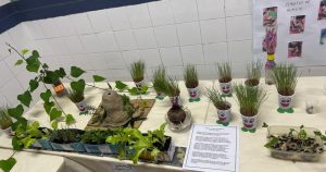 WhatsApp Image 2025-09-13 at 11.01.10