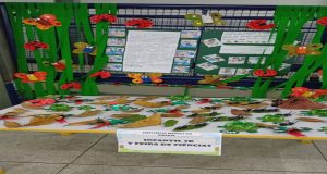 WhatsApp Image 2025-09-13 at 11.43.29