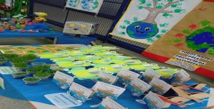 WhatsApp Image 2025-09-13 at 11.43.31